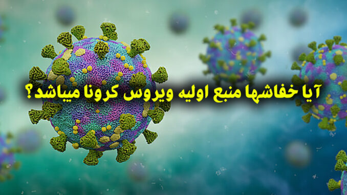 coronavirus coronavirus